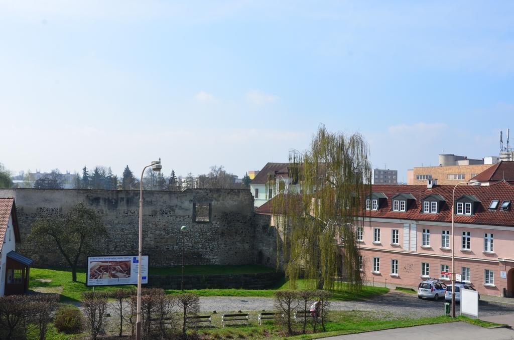 Guesthouse Zlaty Hrozen Чеська Липа Екстер'єр фото