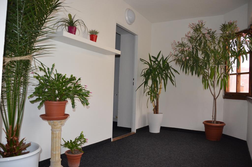 Guesthouse Zlaty Hrozen Чеська Липа Екстер'єр фото