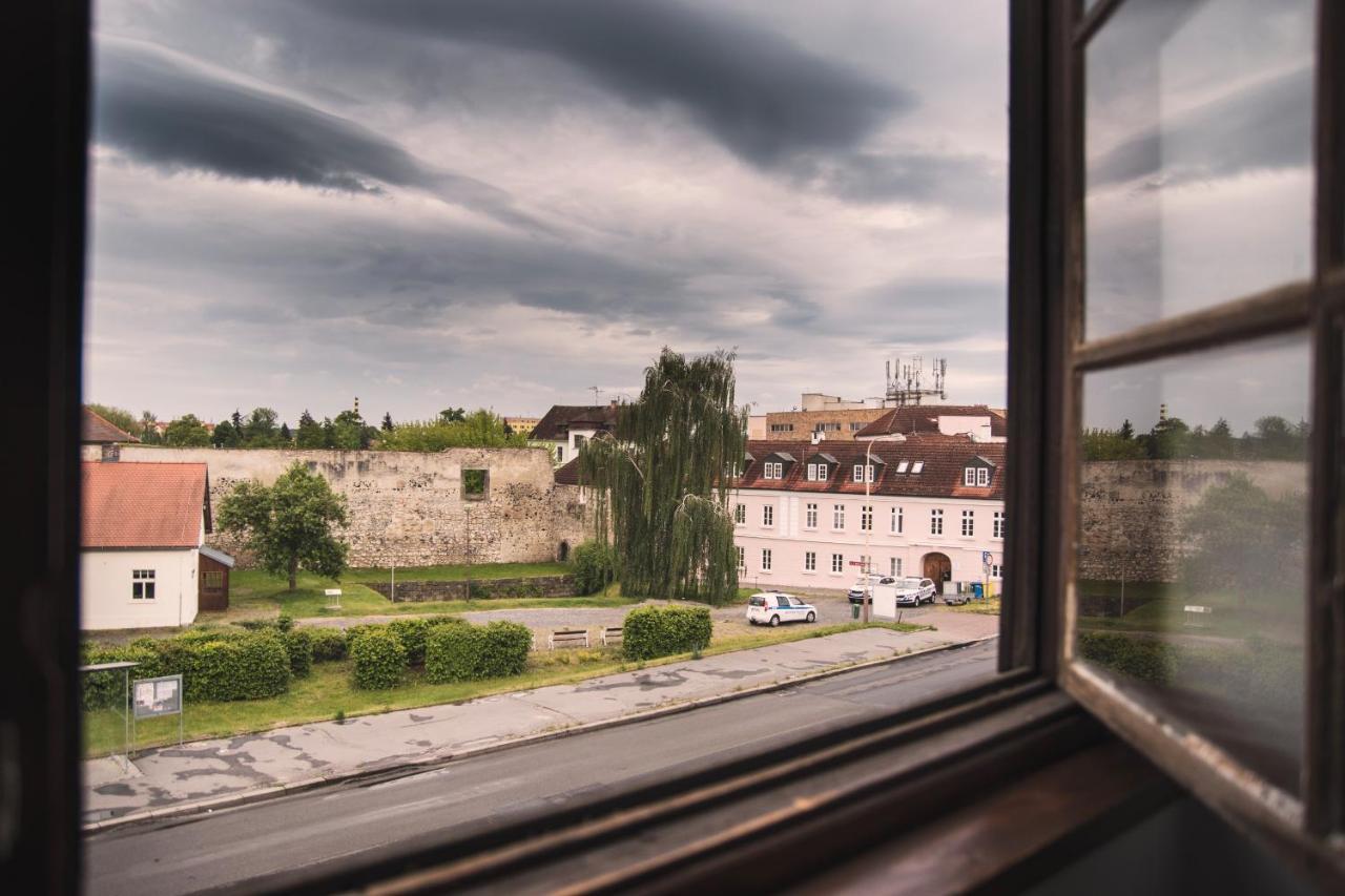 Guesthouse Zlaty Hrozen Чеська Липа Екстер'єр фото