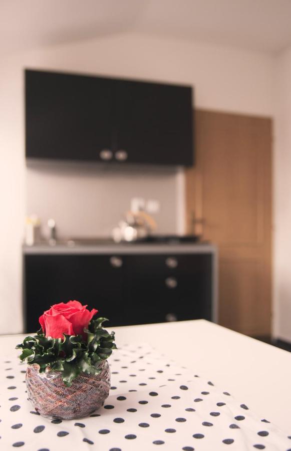 Guesthouse Zlaty Hrozen Чеська Липа Екстер'єр фото