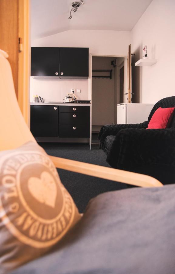 Guesthouse Zlaty Hrozen Чеська Липа Екстер'єр фото